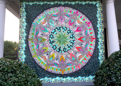 Big Bang ROAR! Quilt Kit - Signed by Tula Pink